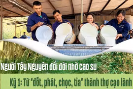 Người Tây Nguyên đổi đời nhờ cao su