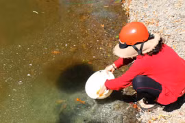 Người dân Pleiku thả cá không thả túi nilon ngày tiễn ông Công, ông Táo về trời