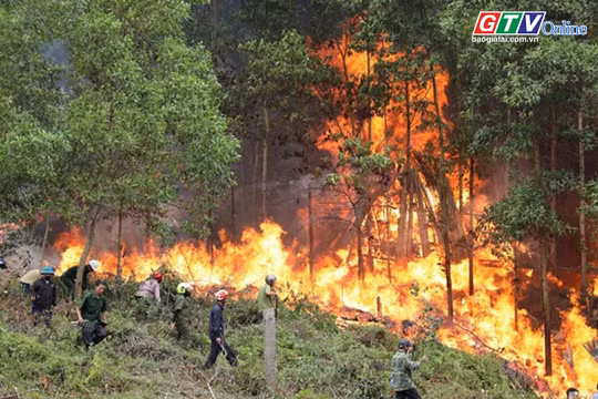 Điểm tin trưa: Thủ tướng chỉ đạo triển khai cấp bách các biện pháp phòng cháy, chữa cháy rừng
