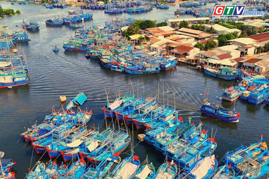 Toàn cảnh Gia Lai 24h: Tăng cường phòng cháy để bảo vệ tàu cá và sinh kế ngư dân