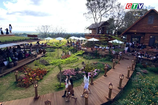 Toàn cảnh Gia Lai 24h: Rộn ràng đón du khách gần xa trong mùng 3 Tết