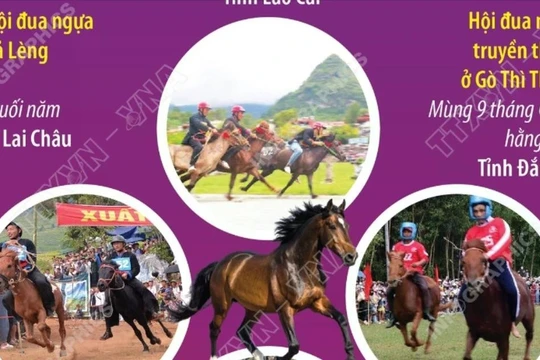 Một số lễ hội và giải đua ngựa truyền thống ở Việt Nam