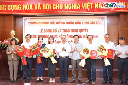 Toàn cảnh Gia Lai 24h: Công bố và trao Nghị quyết của Thường trực HĐND tỉnh Gia Lai về công tác cán bộ