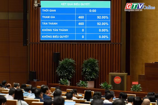 Toàn cảnh Gia Lai 24h: Quốc hội quyết giảm thuế xăng dầu về 0% đến hết tháng 6-2026