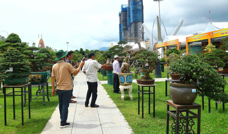 Nhiều khách tham quan đến thưởng lãm, chụp ảnh, quay video; góp phần lan tỏa, quảng bá và thúc đẩy giao thương các sản phẩm cây cảnh nghệ thuật, hoa cảnh. Ảnh: H.V lien-hoan-sinh-vat-canh-tinh-gia-lai-13.jpg
