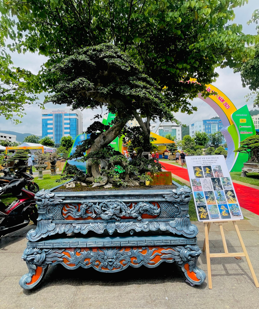 lien-hoan-sinh-vat-canh-tinh-gia-lai-14.jpg