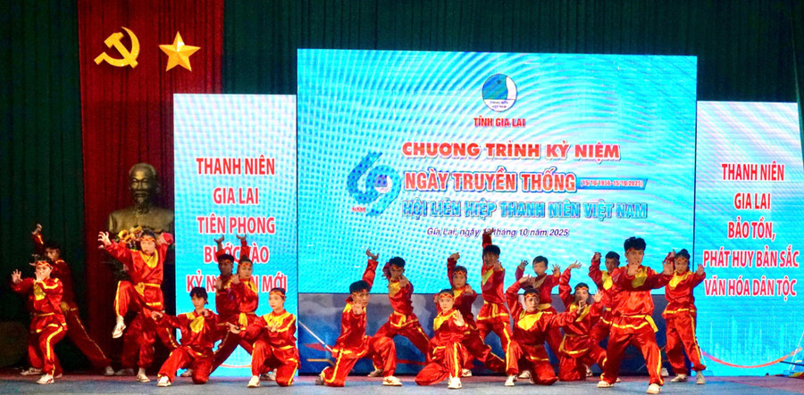 Liên hoan là dịp đoàn viên, thanh niên rèn luyện kỹ năng, giao lưu, học hỏi và lan tỏa tinh hoa võ cổ truyền Bình Định. Ảnh: H.V lien-hoan-vo8.jpg