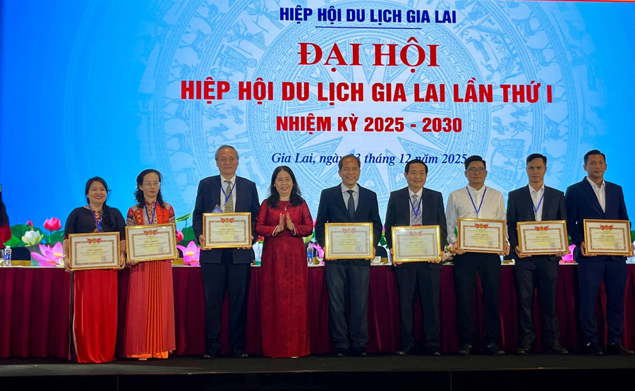 dai-hoi-hiep-hoi-du-lich-gia-lai-lan-thu-i-2.jpg