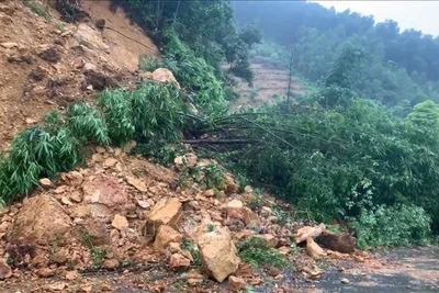 Đêm 12, rạng sáng 13/7, Tuyên Quang và Phú Thọ đề phòng lũ quét, sạt lở đất