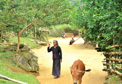 Cụ Đinh Thị Mái - người lớn tuổi nhất ở làng Tranh