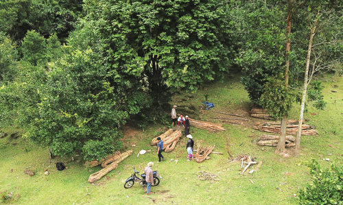 Thung lũng làng Tranh nằm lọt thỏm giữa những tán rừng già