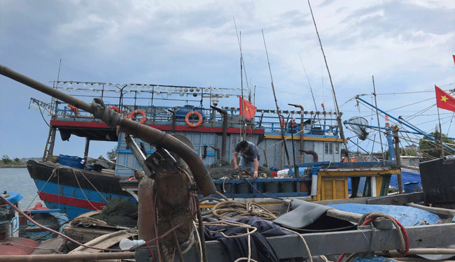 Nhiều tàu cá ở tỉnh Thừa Thiên - Huế nằm bờ nhiều tháng qua do ảnh hưởng của dịch Covid-19 và thiếu hụt lao động .Ảnh: QUANG TÁM