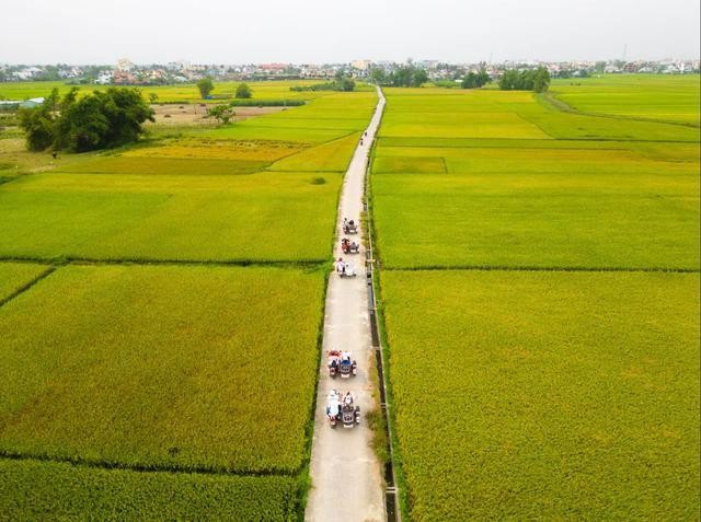 Các đôi uyên ương có thể tìm đến làng rau Trà Quế, nơi được Tổ chức Du lịch Liên Hiệp Quốc vinh danh là "Làng du lịch tốt nhất thế giới 2024" Các đôi uyên ương có thể tìm đến làng rau Trà Quế, nơi được Tổ chức Du lịch Liên Hiệp Quốc vinh danh là "Làng du lịch tốt nhất thế giới 2024"