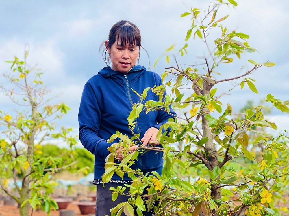 Chị Thái Ngọc Đào (tổ 8, phường Thắng Lợi, TP. Pleiku) chăm sóc hoa mai. Ảnh: T.D 1lay-bgvo-chong-chi-thai-ngoc-dao-phuong-thang-loi-tp-pleiku-gan-bo-voi-nghe-trong-hoa-da-hon-25-nam-anh-td.jpg