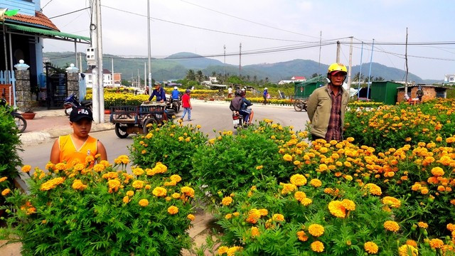 Chợ hoa vạn thọ ở quê. ẢNH: TRẦN CAO DUYÊN Chợ hoa vạn thọ ở quê. ẢNH: TRẦN CAO DUYÊN