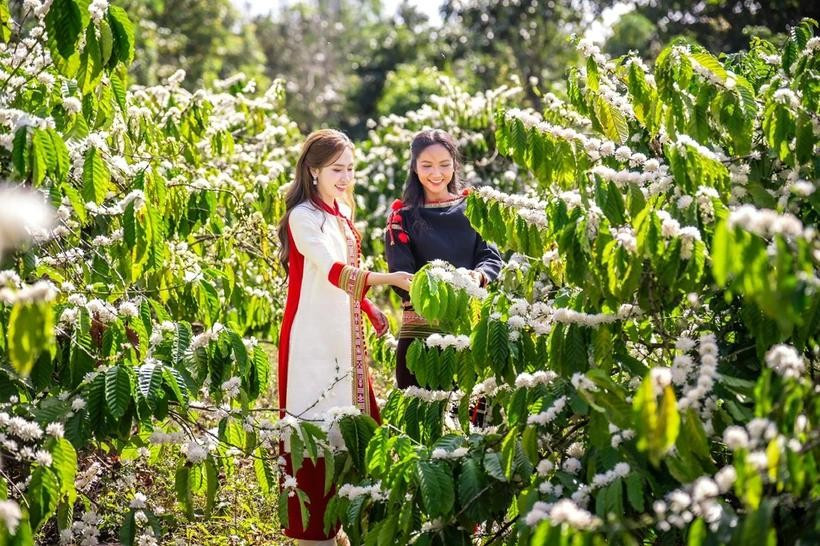 Hai đại sứ của mùa lễ hội càphê năm nay. (Ảnh: CTV/Vietnam+) am-thucc.jpg