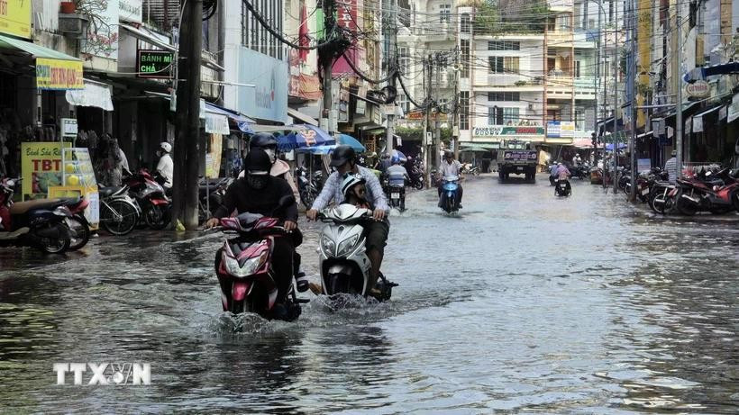 Đợt triều cường dâng cao ở Cà Mau hồi cuối năm 2024. (Ảnh: TTXVN) du-bao-ve-dot-trieu-cuong-moi-dd.jpg