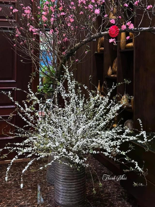 Bình hoa tuyết mai bung nở của chị Thanh Nhài. ẢNH: THANH NHÀI Bình hoa tuyết mai bung nở của chị Thanh Nhài. ẢNH: THANH NHÀI