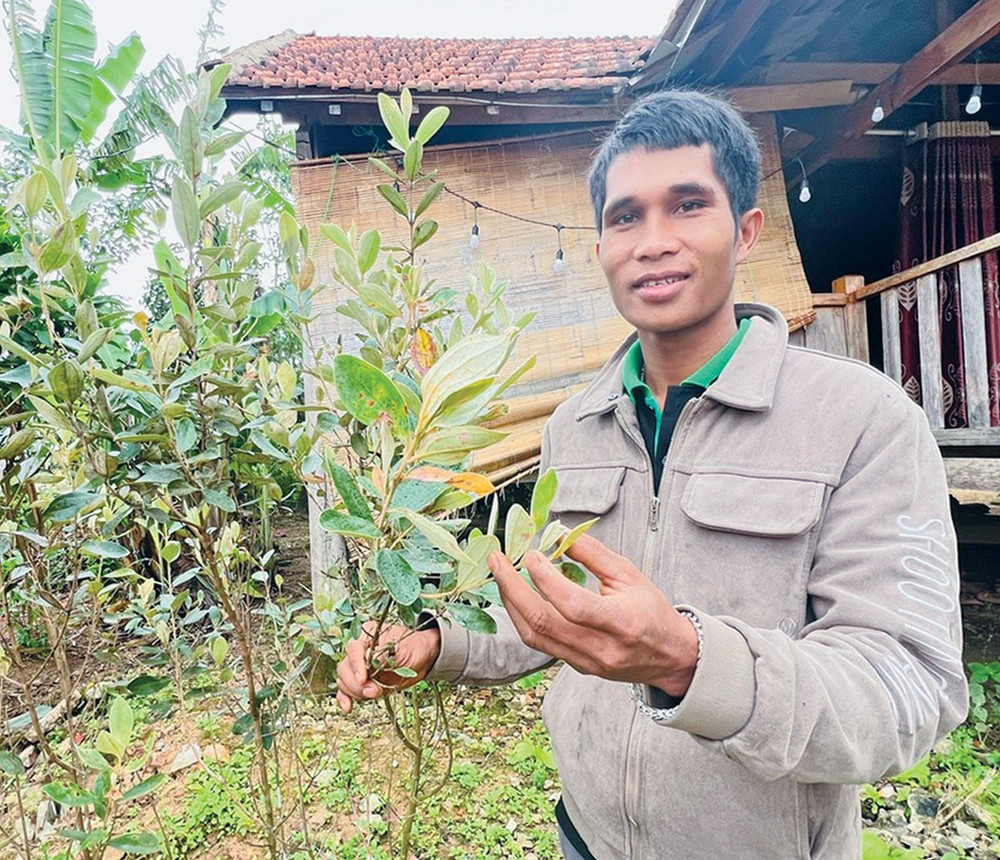 Anh Đinh Văn Quý-Bí thư Chi bộ kiêm Trưởng thôn Đăk ASêl (xã Kon Pne) được kế thừa nhiều bài thuốc gia truyền. Ảnh: Đ.Y bao-ton-nhung-bai-thuoc-quy-cua-nguoi-bahnar-dd.jpg