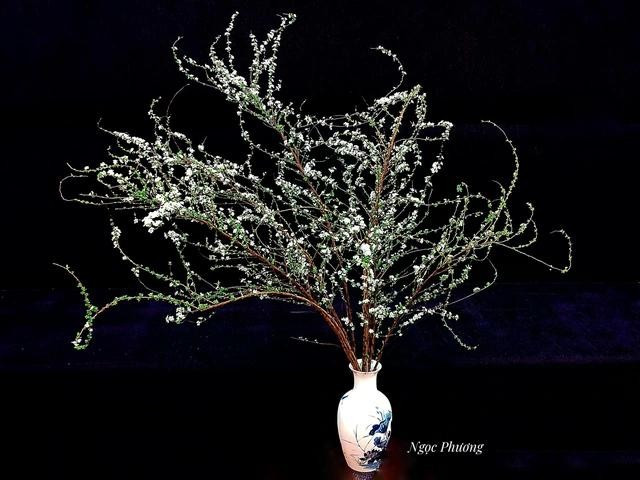 Bình hoa của chị Phương được nhiều người yêu thích. ẢNH: NGỌC PHƯƠNG Bình hoa của chị Phương được nhiều người yêu thích. ẢNH: NGỌC PHƯƠNG