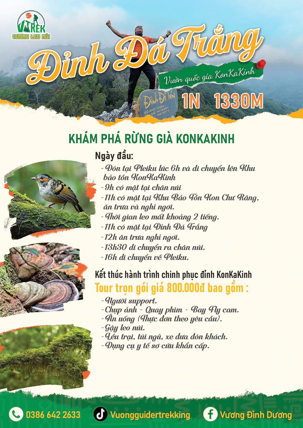 Nhiều tour khám phá rừng núi được giới thiệu với hình ảnh thiên nhiên vẫy gọi vô cùng hấp dẫn. 5-nhieu-tour-kham-pha-rung-nui-duoc-gioi-thieu-voi-hinh-anh-thien-nhien-vay-goi-vo-cung-hap-dan.jpg