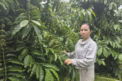 Phụ nữ Ia Khươl vượt qua khuôn mẫu, tự tin vươn lên