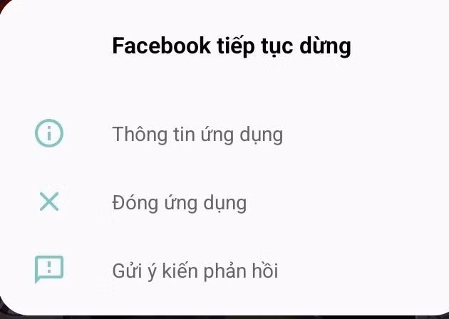 facebook-gap-su-co-gian-doan-truy-cap-viet-nam-8092.jpg