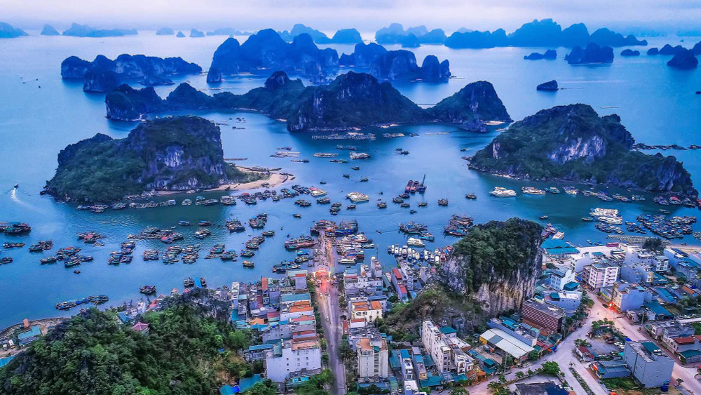Vịnh Bái Tử Long, Vân Đồn Vịnh Bái Tử Long, Vân Đồn