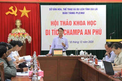 Gia Lai: Đề nghị xếp hạng di tích lịch sử cấp tỉnh cho Di tích Champa An Phú.