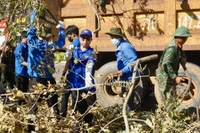 Gần 1.000 đoàn viên thanh niên Gia Lai ra quân khắc phục thiệt hại sau bão.