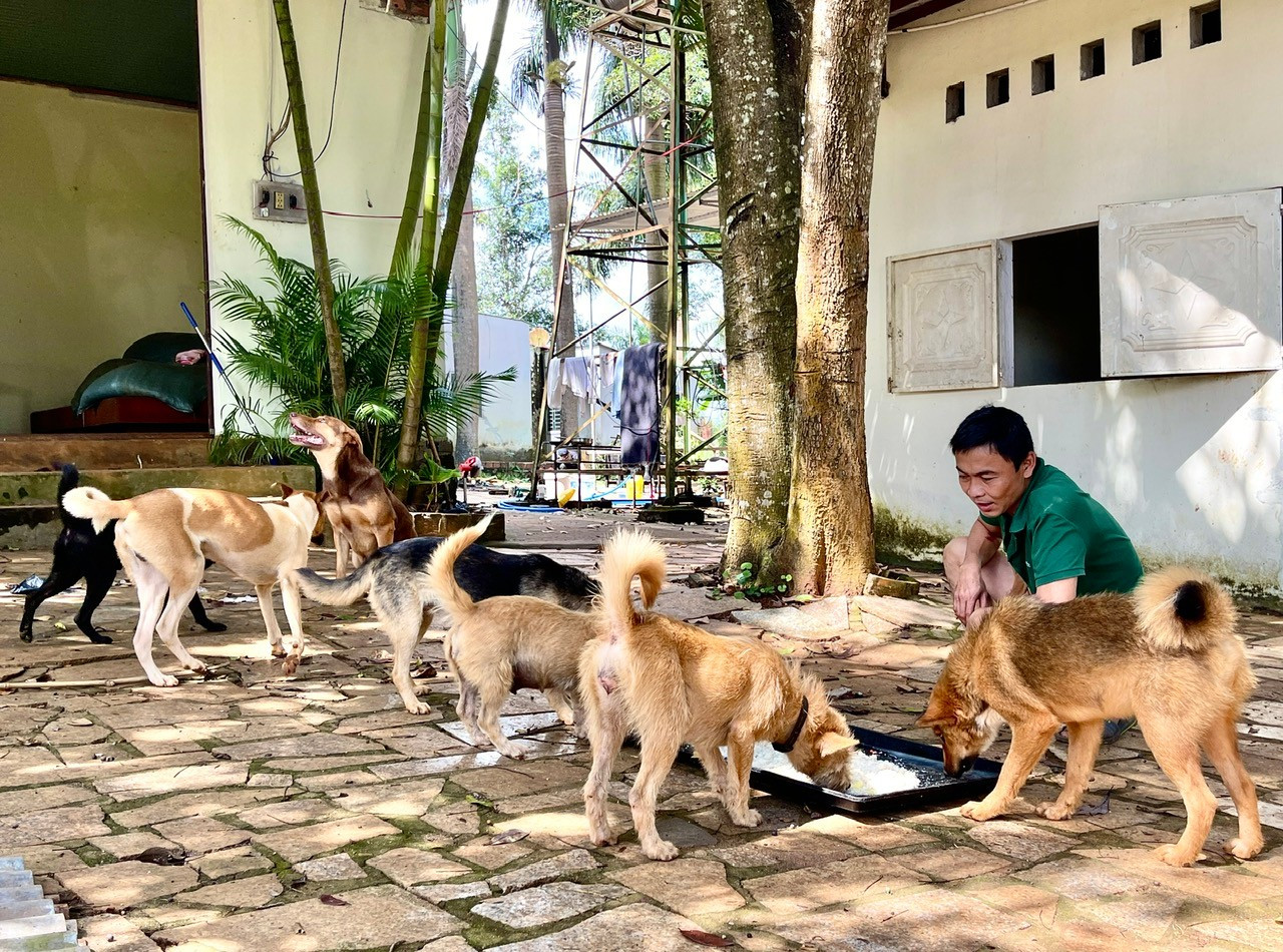 Cứu hộ một con chó đôi khi chỉ mất vài trăm ngàn đồng nhưng cũng có khi lên đến vài triệu đồng. Ảnh: M.P cuu-ho-mot-con-cho-doi-khi-chi-mat-vai-tram-ngan-dong-nhung-cung-co-khi-len-den-vai-trieu-dong.jpg