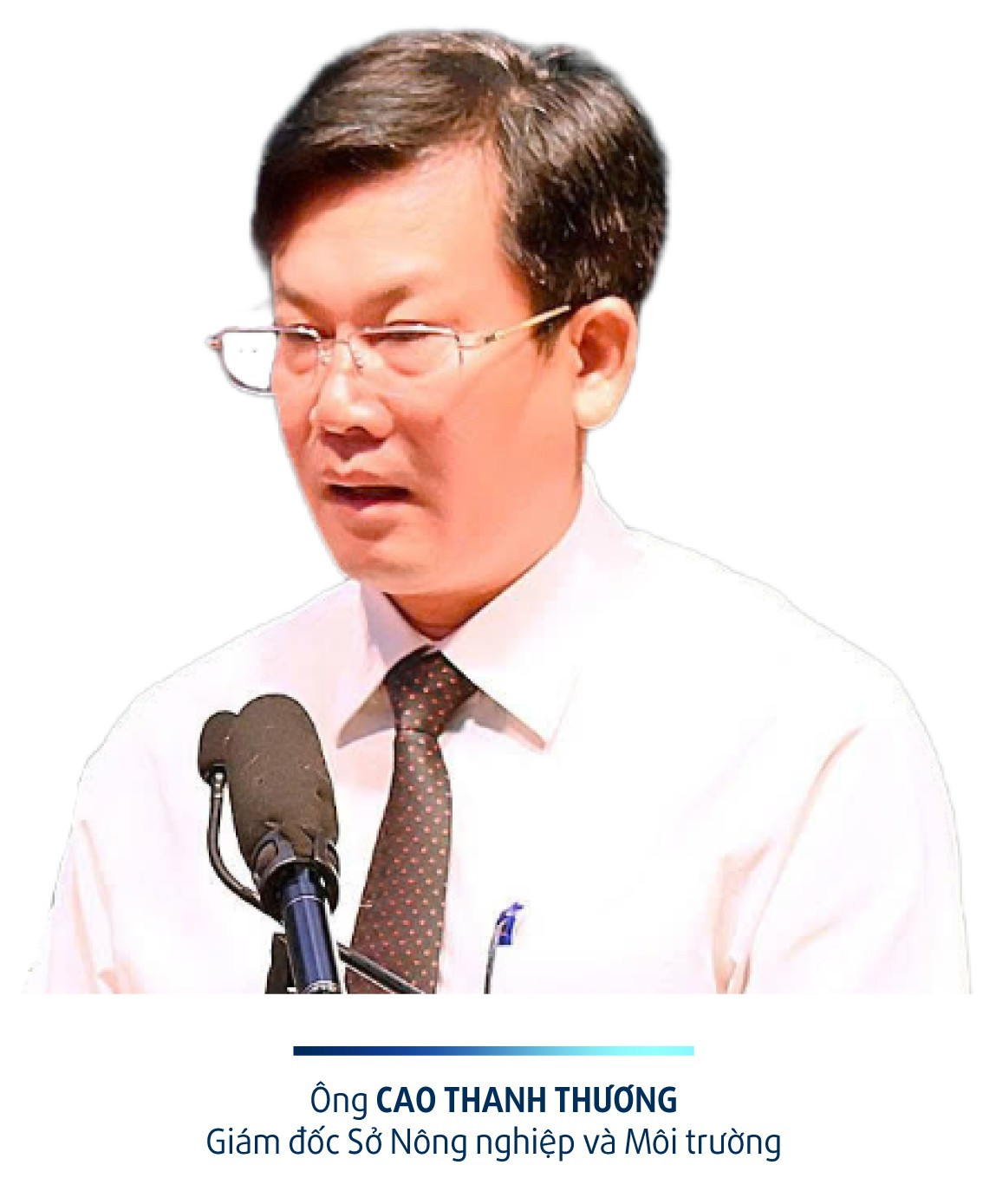 hinh7.jpg