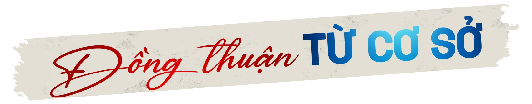 hinh4.jpg