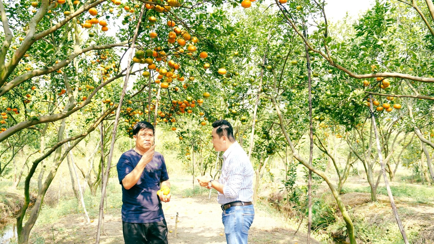 Bình Phước có lợi thế về đất đai để hình thành các vùng chuyên canh cây ăn trái, sản xuất nông nghiệp tập trung quy mô lớn tien-dung-2-42-20303811122024.jpg