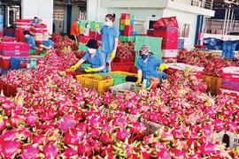 Xuất khẩu rau quả phục hồi, hướng đến mục tiêu 8 tỷ USD năm 2025