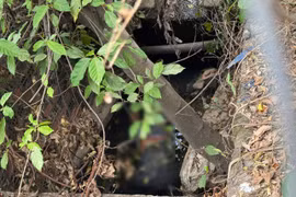 Thi thể được phát hiện trong tình trạng nằm úp dưới mương nước.