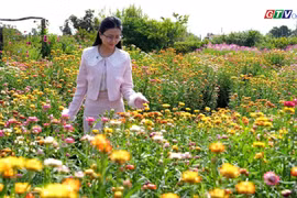 Lãng mạn cùng những loài hoa ở Vườn nhà Thóc