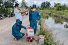 Tình trạng dịch tả heo châu Phi đã xảy ra trên địa bàn một số xã phía Đông của tỉnh Gia Lai. Ảnh: A.N