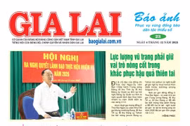 Báo ảnh ngày 4-12