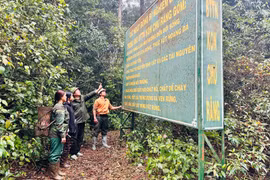 Cộng đồng người Bahnar chung sức giữ rừng Kon Chư Răng