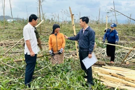 Tiếp sức cho người dân tái thiết sau bão lũ