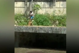 Thanh niên leo vào chuồng sư tử trong vườn thú ở Brazil