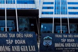 Hoàng Anh Gia Lai thoát diện cảnh báo, ông Đoàn Hoàng Nam giữ 2,55% cổ phần