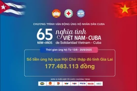 Gia Lai: Tiếp nhận hơn 177 triệu đồng ủng hộ nhân dân Cuba 
