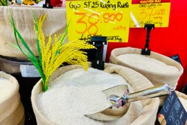 Philippines tạm ngưng nhập khẩu gạo, thị trường Việt Nam chịu áp lực