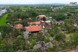 Chiêm bái Thập Tháp cổ tự