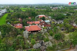 Chiêm bái Thập Tháp cổ tự