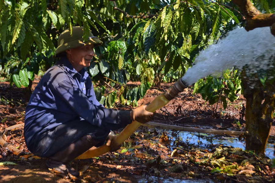 nguoi-dan-xa-ia-sao-tuoi-nuoc-cho-cay-ca-phe.jpg