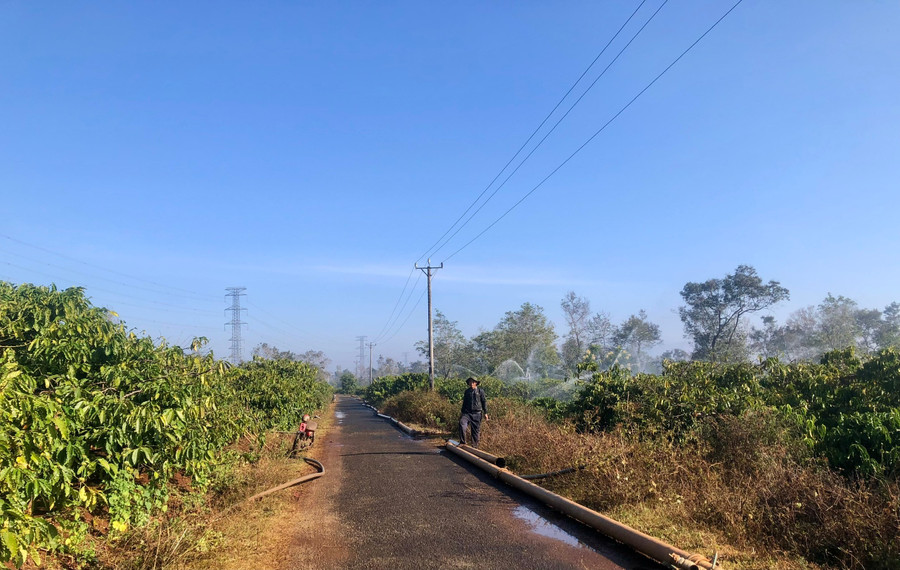 Công ty Cà phê Ia Sao 2 (huyện Ia Grai) đang triển khai tưới nước đợt 1 cho những diện tích cà phê của công ty. Ảnh: Lê Nam cong-ty-ca-phe-ia-sao-2-huyen-ia-grai-dang-trien-khai-tuoi-nuoc-dot-1-cho-nhugn74-dien-tich-ca-phe-cua-cong-ty.jpg