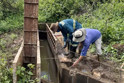 Tạo đà cho “trụ đỡ” của ngành nông nghiệp bứt phá - Kỳ 1: Khơi thông nguồn lực
